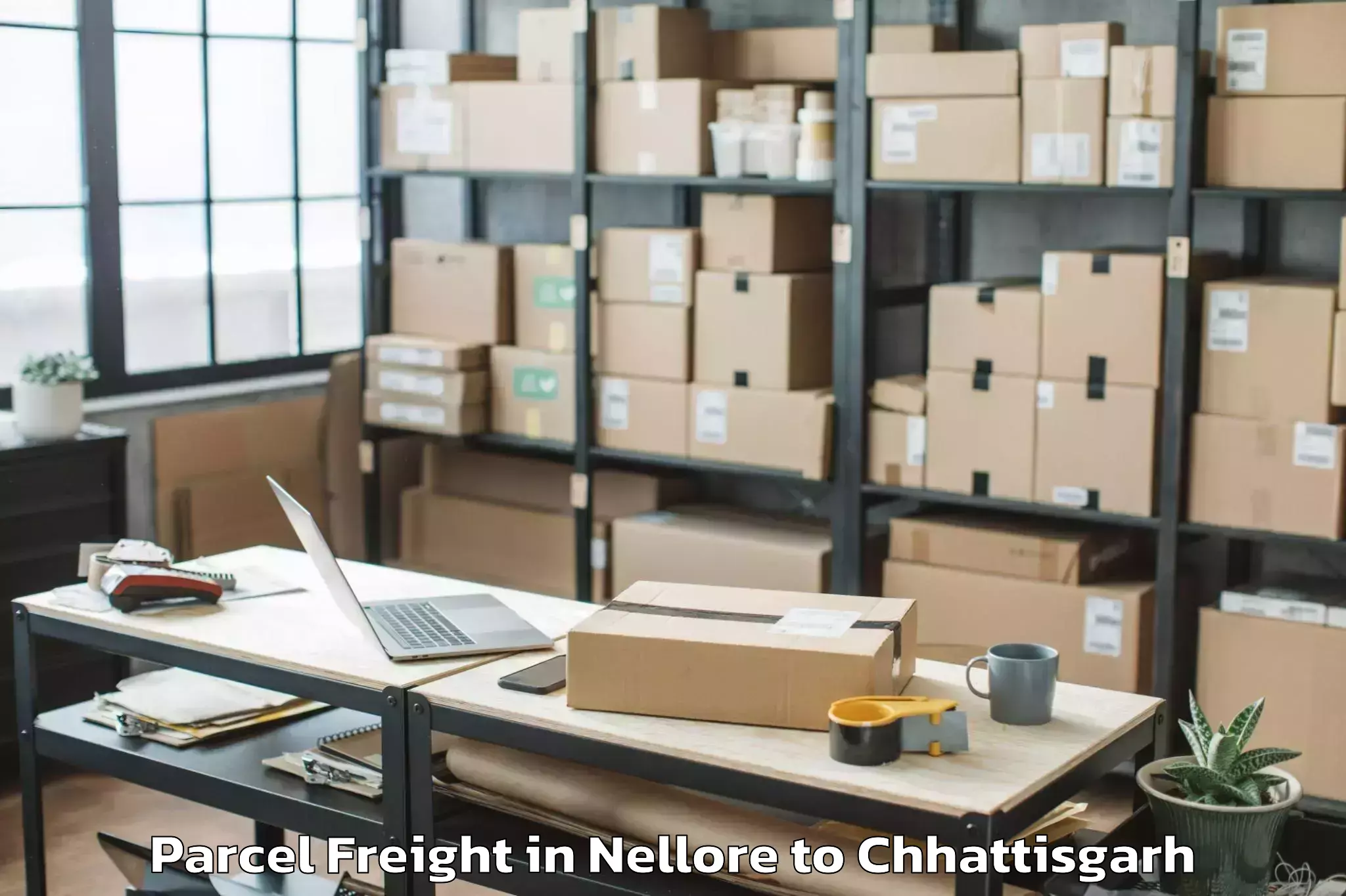 Top Nellore to Op Jindal University Raigarh Parcel Freight Available